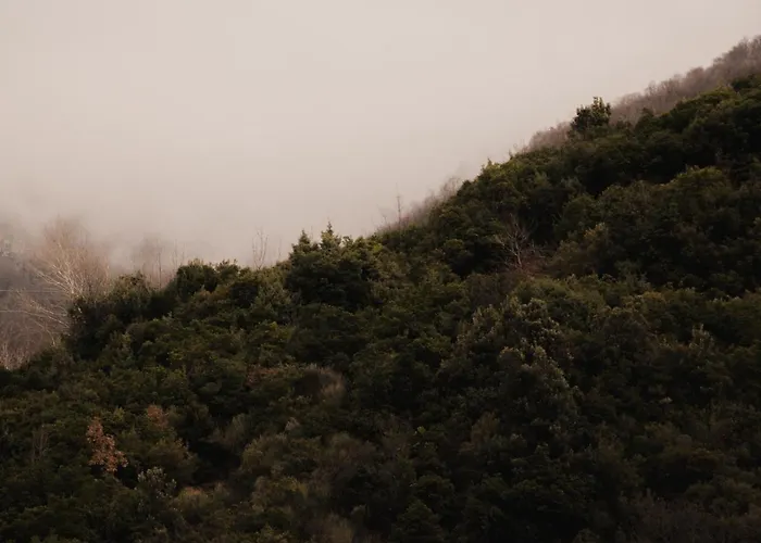 Szálloda Bianca & *